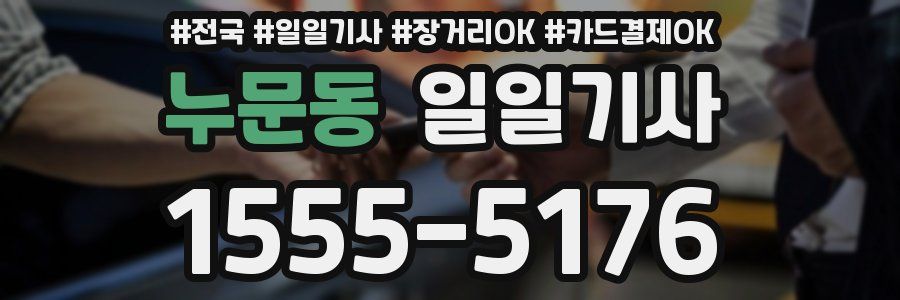 누문동 일일기사