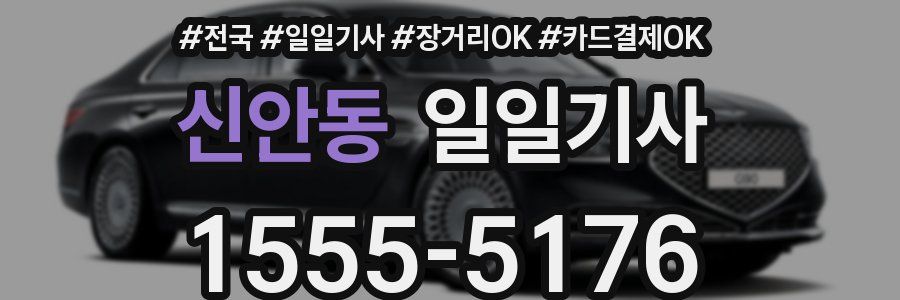 신안동 일일기사
