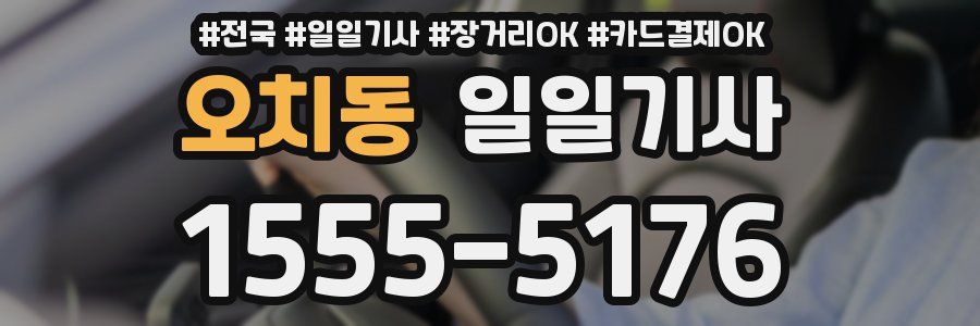 오치동 일일기사