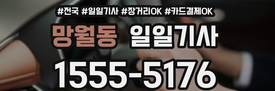 망월동 일일기사