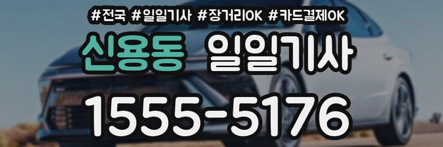 신용동 일일기사