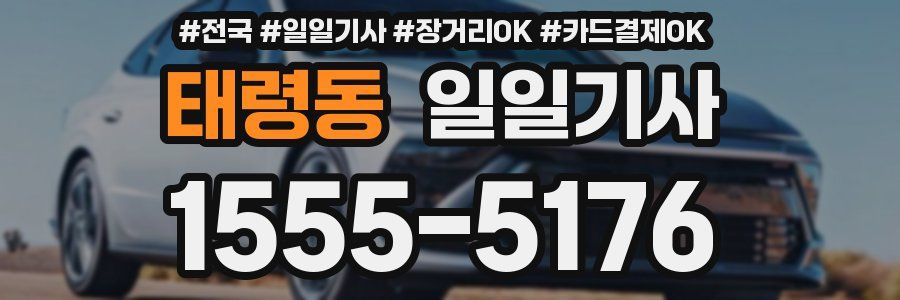 태령동 일일기사