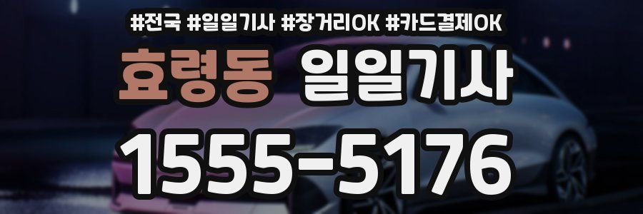 효령동 일일기사