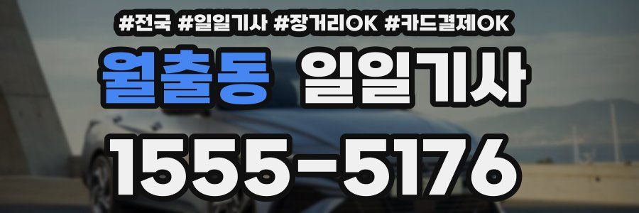 월출동 일일기사