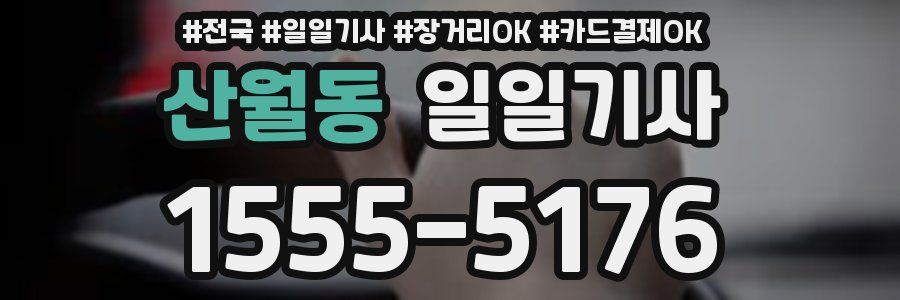 산월동 일일기사