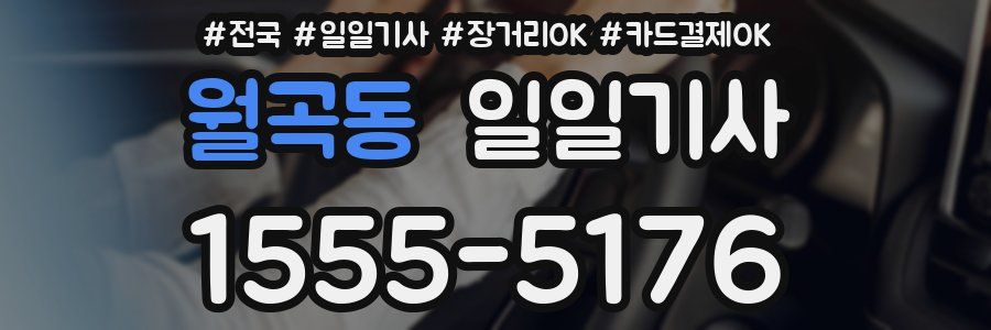 월곡동 일일기사