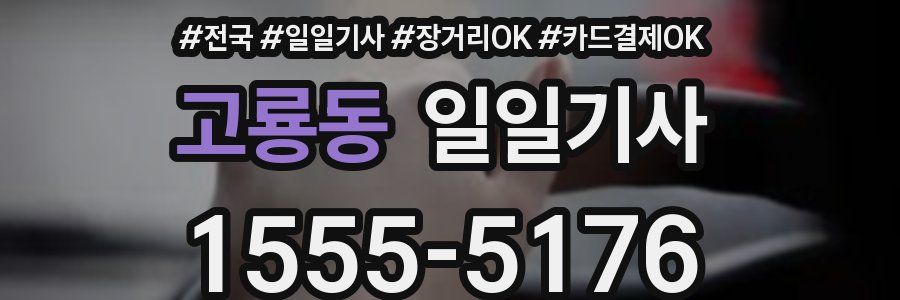 고룡동 일일기사