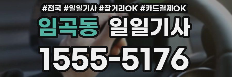 임곡동 일일기사