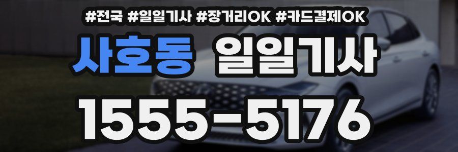 사호동 일일기사