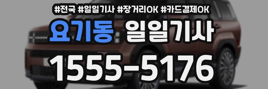 요기동 일일기사
