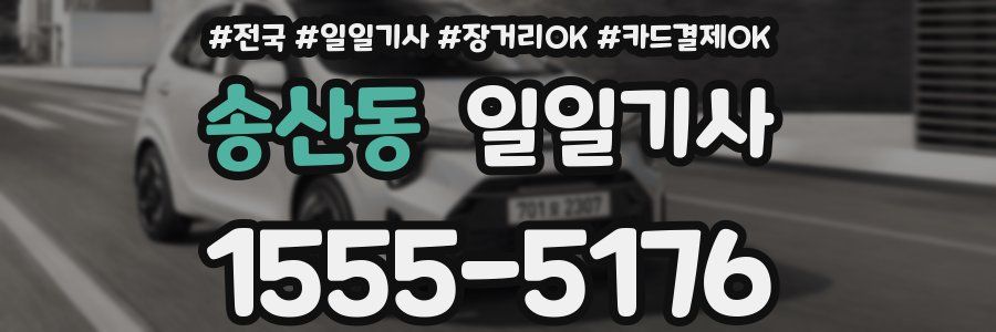 송산동 일일기사