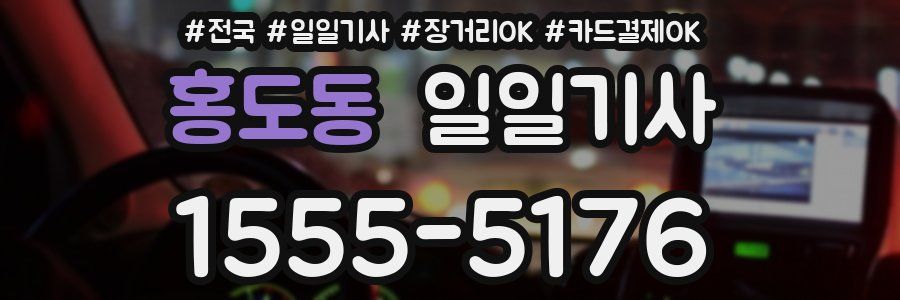 홍도동 일일기사