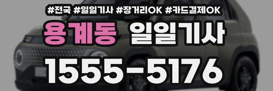 용계동 일일기사