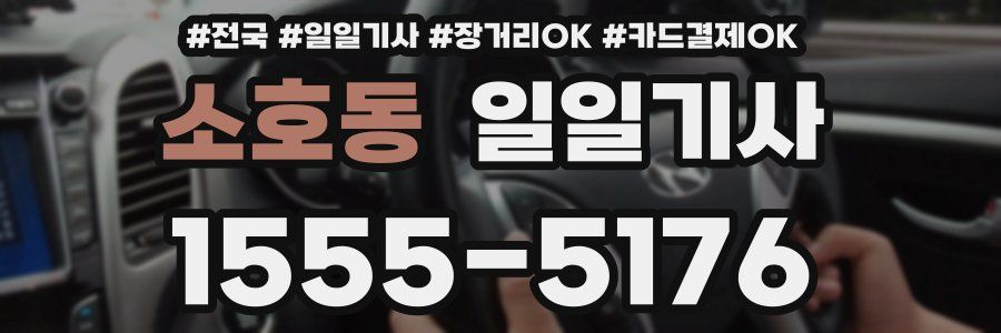 소호동 일일기사