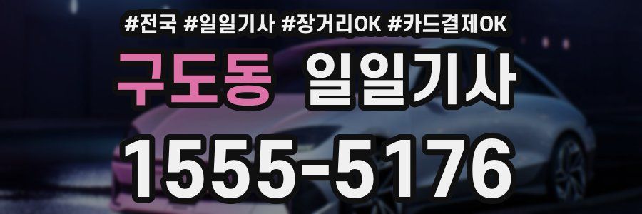 구도동 일일기사