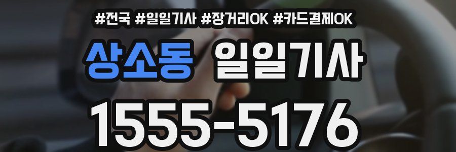 상소동 일일기사