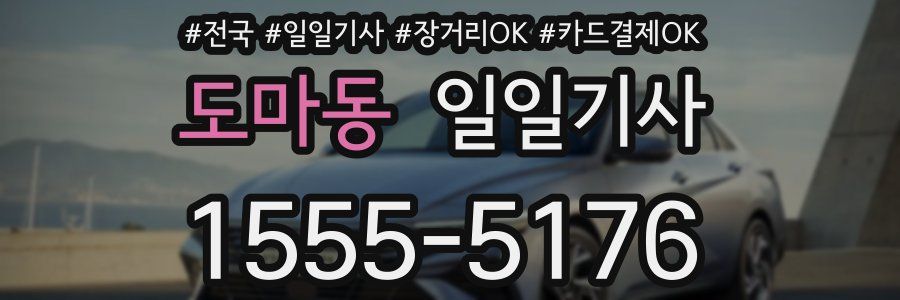 도마동 일일기사