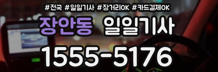 장안동 일일기사