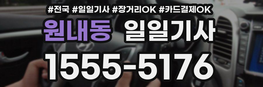 원내동 일일기사