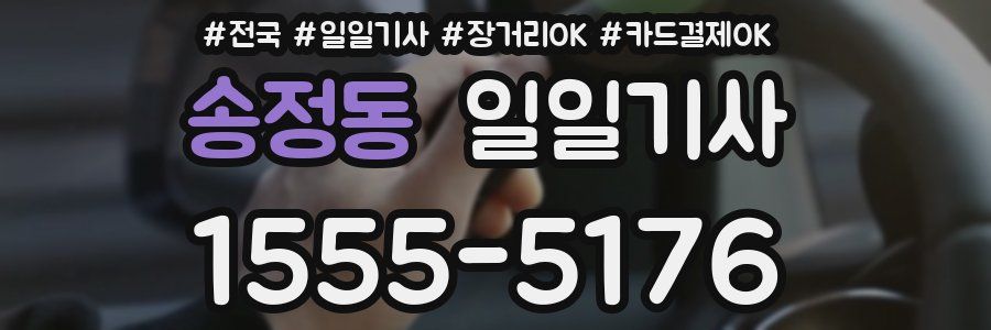 송정동 일일기사