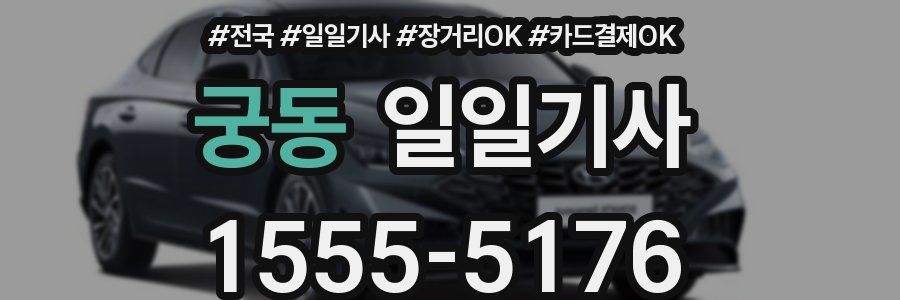 궁동 일일기사