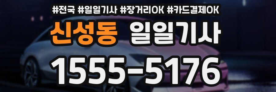 신성동 일일기사