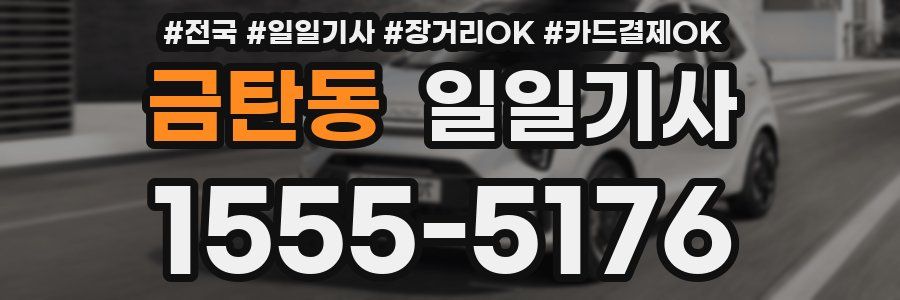 금탄동 일일기사