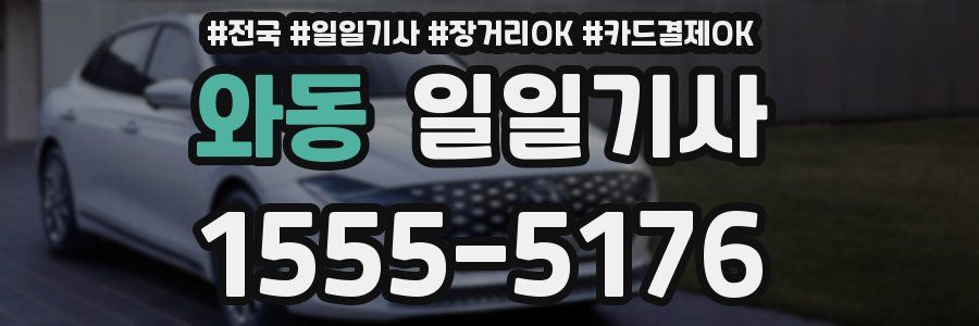 와동 일일기사