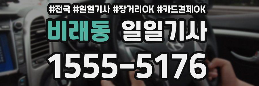 비래동 일일기사