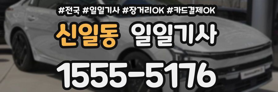 신일동 일일기사