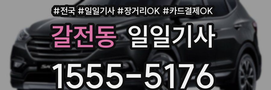 갈전동 일일기사
