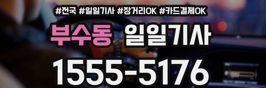 부수동 일일기사