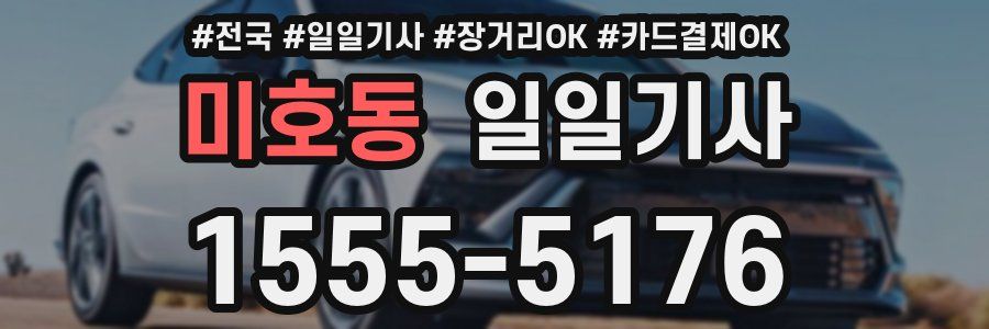 미호동 일일기사