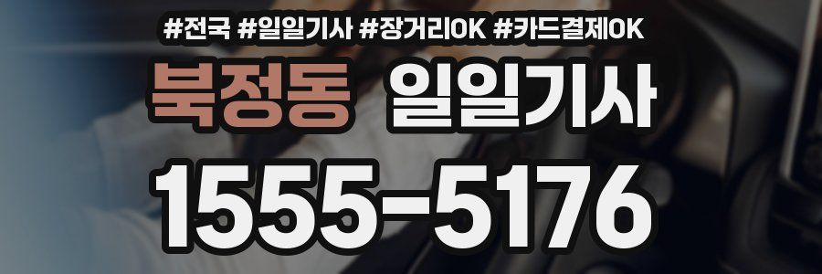 북정동 일일기사