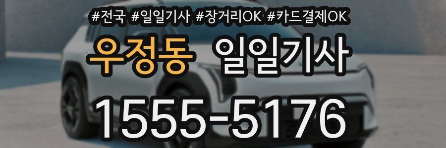 우정동 일일기사