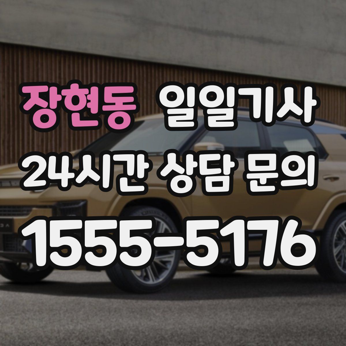 일일기사