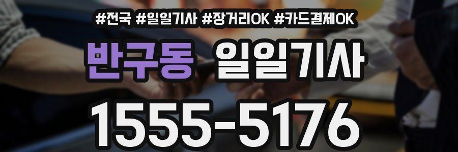 반구동 일일기사