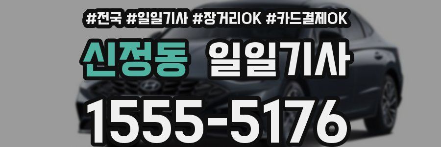 신정동 일일기사