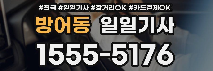 방어동 일일기사