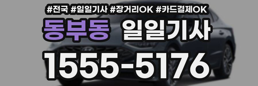 동부동 일일기사