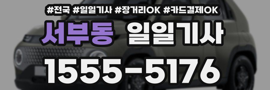 서부동 일일기사