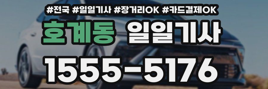 호계동 일일기사