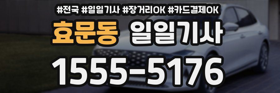 효문동 일일기사