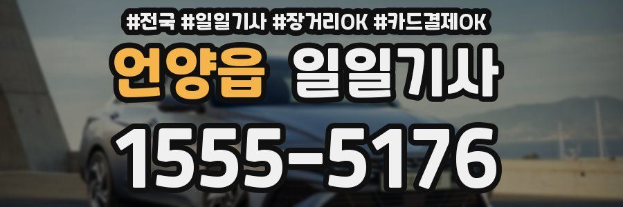 언양읍 일일기사