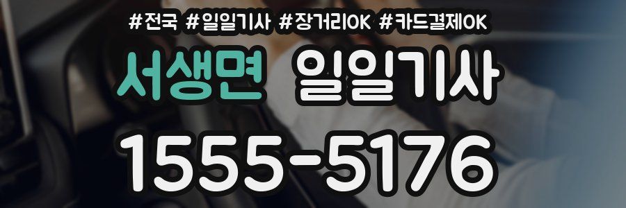 서생면 일일기사