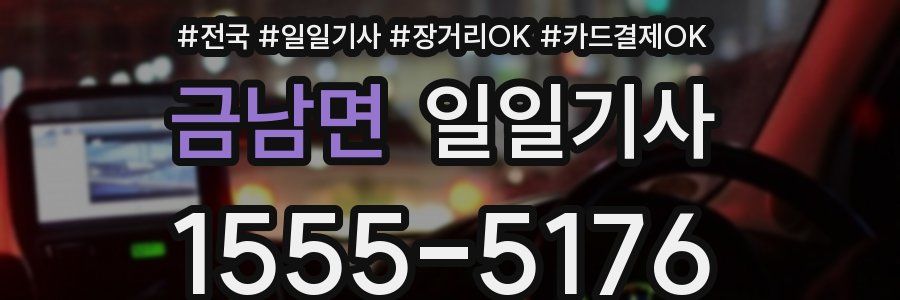 금남면 일일기사