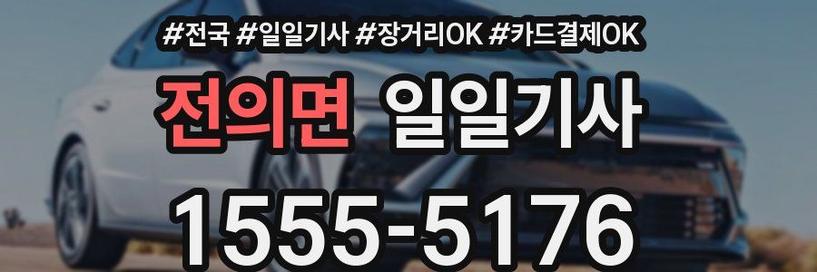 전의면 일일기사