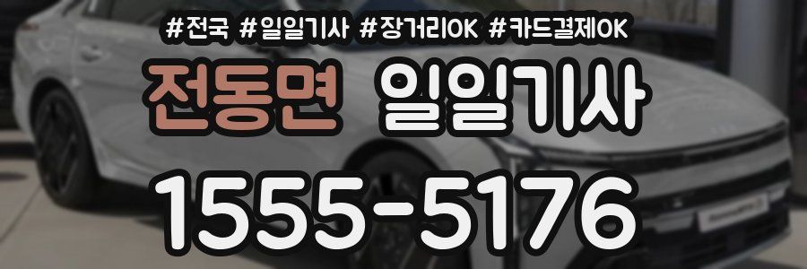 전동면 일일기사