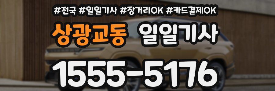 상광교동 일일기사