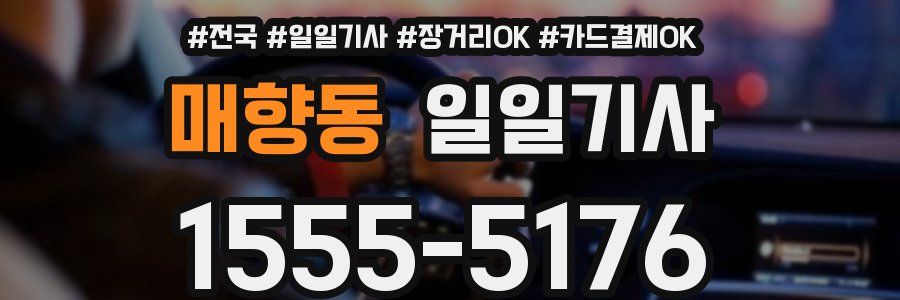 매향동 일일기사